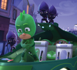 Looking After Gekko