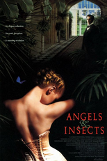 Anjos e Insetos (Angels and Insects)