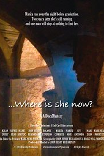 Poster de Filme ...Where is she now? (2015)