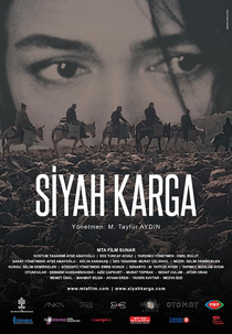 Black Crow (Siyah karga)