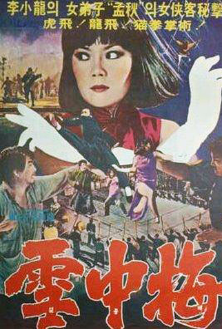 Poster 1 de Filme Snow Plum Blossom (1976)