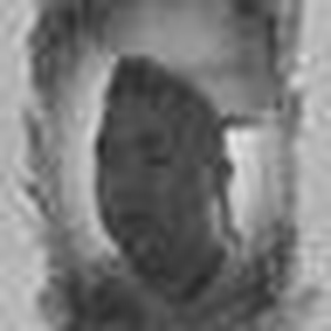 Foto de perfil de andré