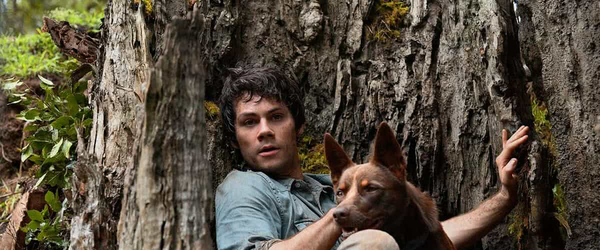 Veja o que chega em abril de 2021 na Netflix