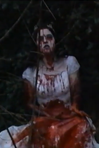 Poster 1 de Curta Ancient: Willow the Wisp (1997)