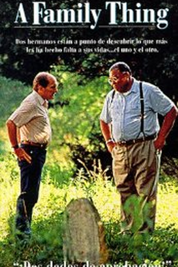 Poster de Filme Segredo de Família (1996)