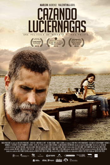 Poster de Filme Caçando Vagalumes (2013)