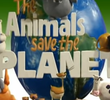 Os Animais Salvam o Planeta