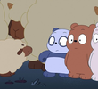Sheep Bears