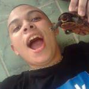 Foto de perfil de Ulisses Klysman