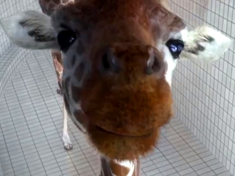 Foto 1 de 5,80 Metros