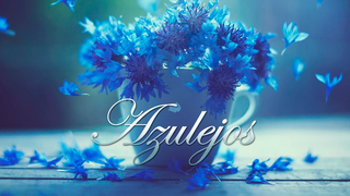 Trailer: Azulejos | Películas Completas en Español Latino