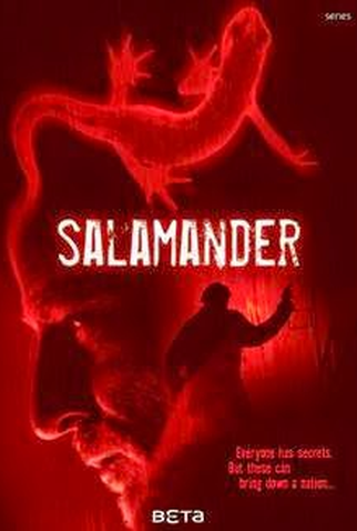 Poster 1 de Série Salamander (2012)