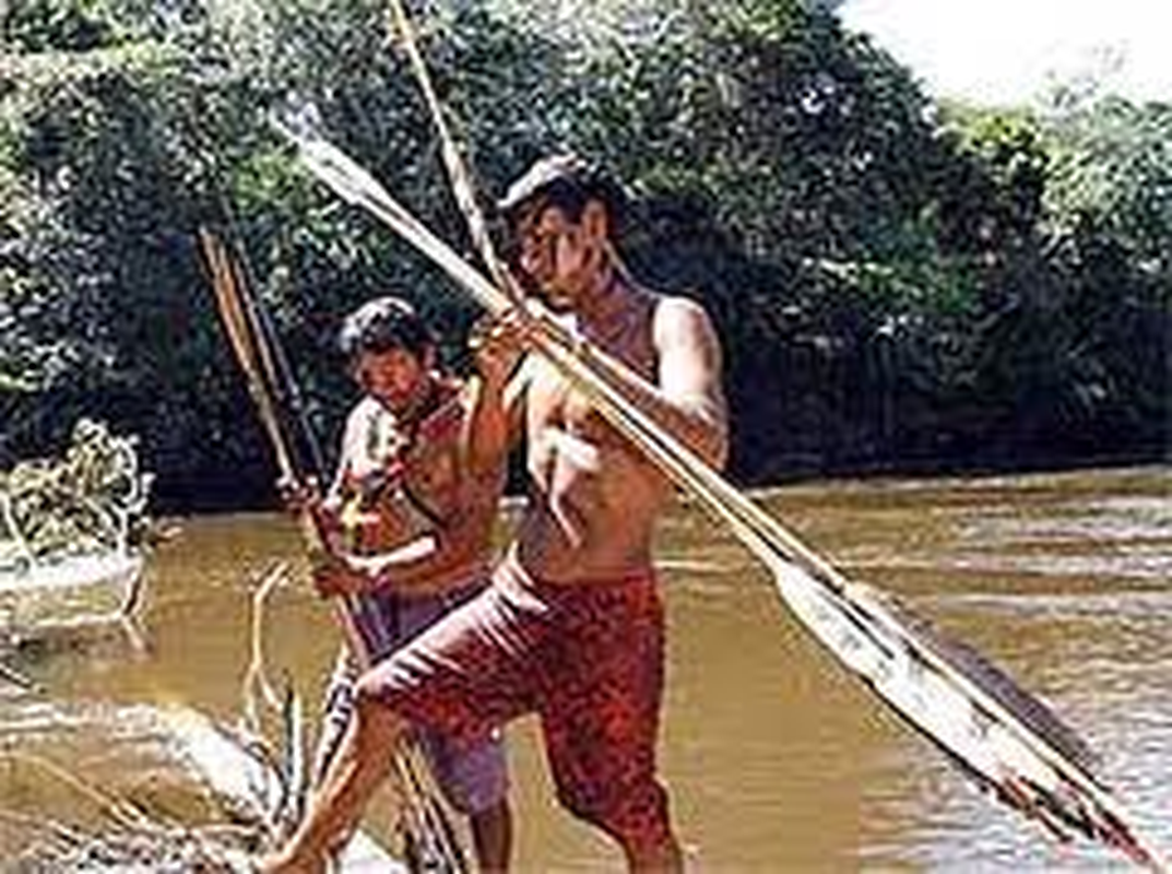 Indio Zarabatana - Foto 5