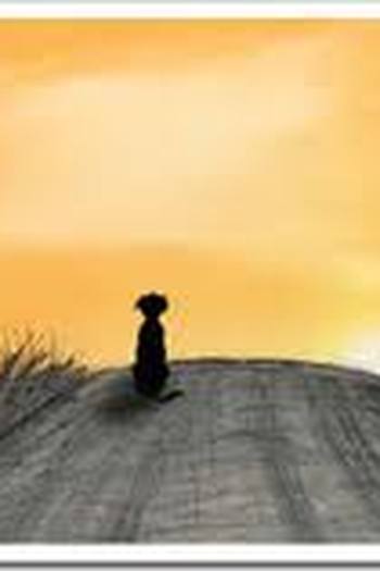  de Curta Abandono de Animais (2011)