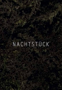 Nocturne (Nachtstück)