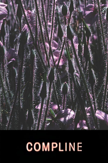  de Curta Compline (2009)