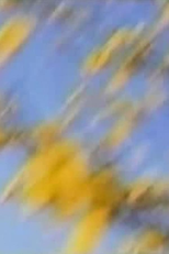 I Want to See How You See (I Want to See How You See (or a portrait of Cornelia Providoli))