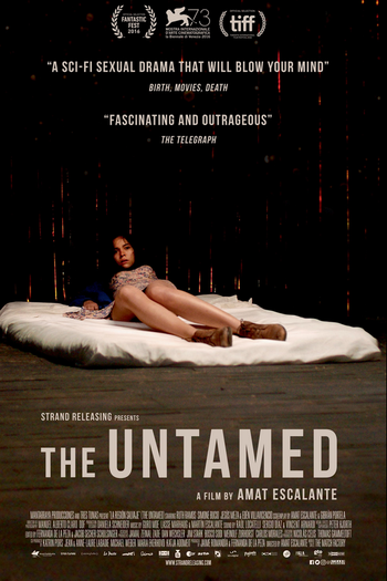 Poster de Filme A Região Selvagem (2016)