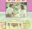 Saga de Paixões