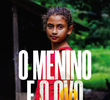 O menino e o ovo
