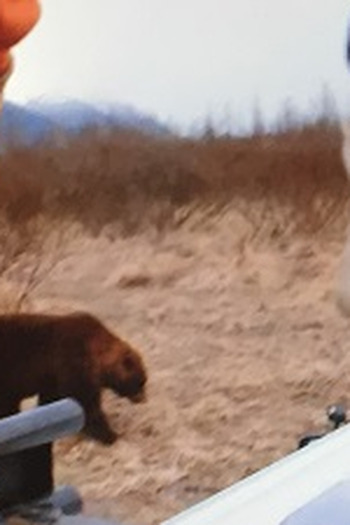 Poster de Episódio The Bear (2015)