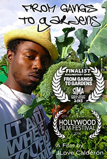 From Gangs to Gardens - Poster / Capa / Cartaz - Oficial 1