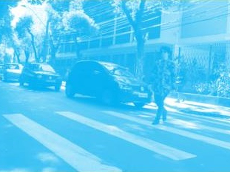 Foto 1 de Desfile
