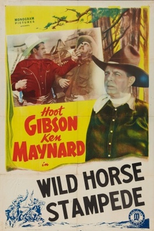 O Mistério do Desfiladeiro (Wild Horse Stampede)