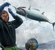 Battlefish