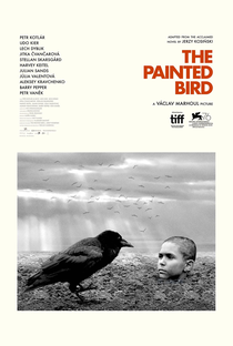 O Pássaro Pintado - Poster / Capa / Cartaz - Oficial 2