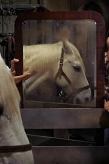 Poster de Episódio Goodbye, Dolly (1967)