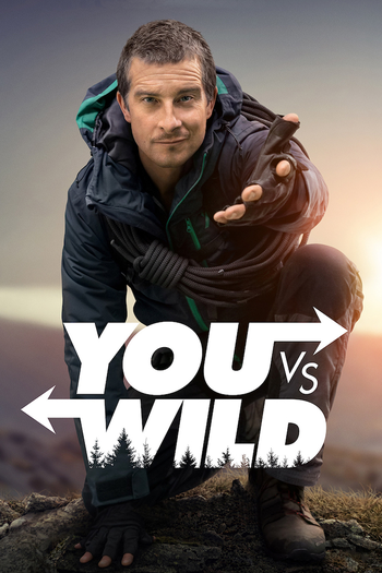 Poster de Franquia You vs. Wild (2019)