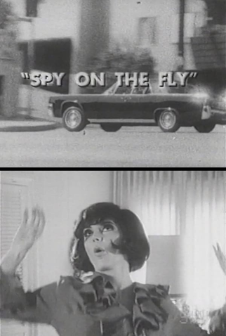 Poster 1 de Curta Spy on the Fly (1967)