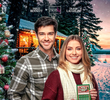 The Christmas Ticket
