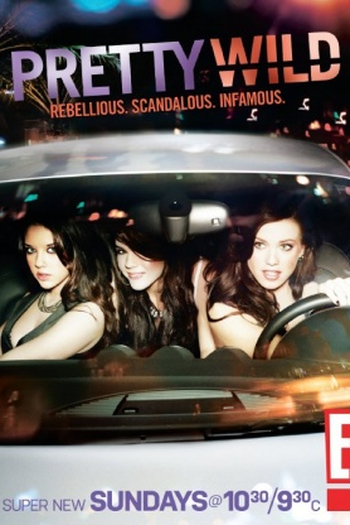Poster de Série Pretty Wild (2010)
