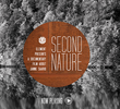 Second Nature: A Documentary Film About Janne Saario / Yves Marchon