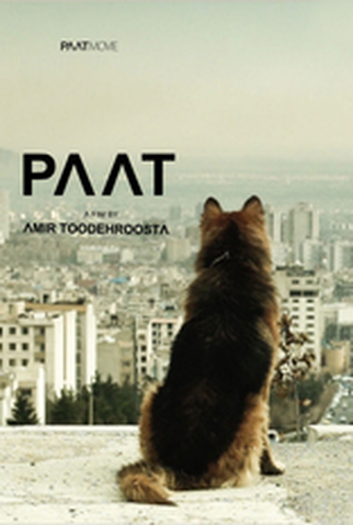 Poster 1 de Filme Paat (2013)