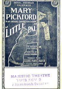 Little Pal (Little Pal)