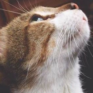 Foto de perfil de Éri