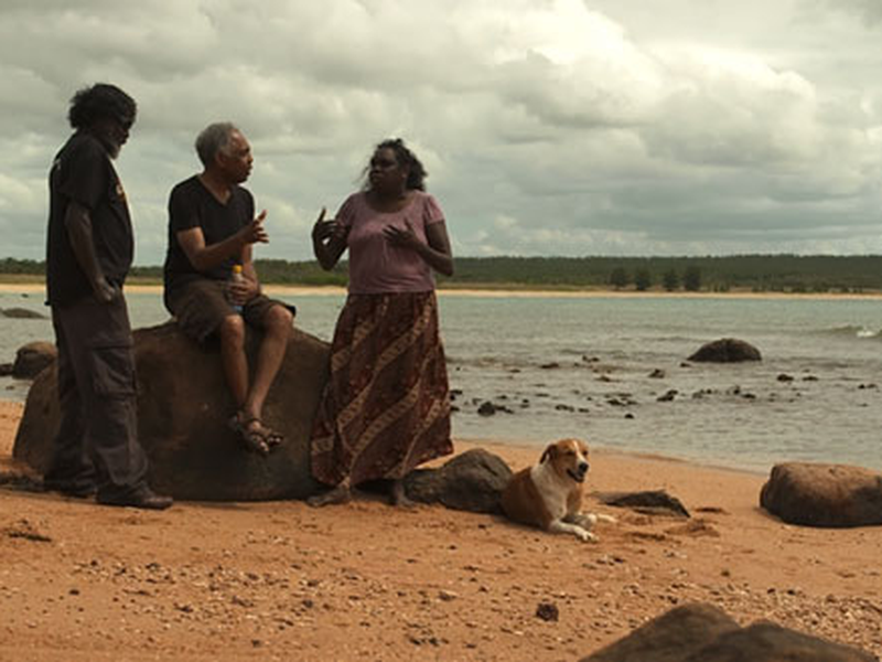 Foto 10 de Viramundo