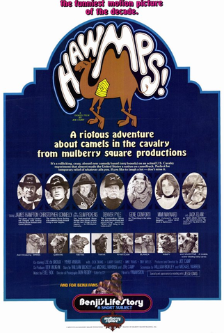 Poster 1 de Filme Uma Experiência Extraordinária (1976)