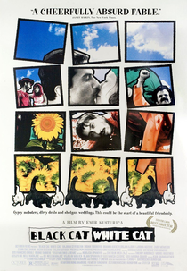 Gata Preta, Gato Branco (Crna mačka, beli mačor)