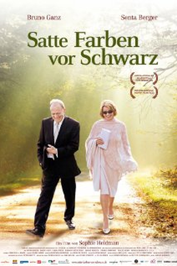Poster de Filme Cores no Escuro (2010)