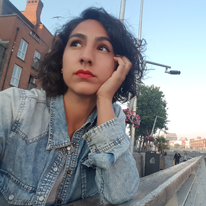 Foto de perfil de Sam Hollanders