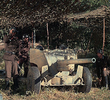 The Gun