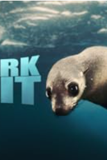 A guerra dos tubarões (Shark Bait)