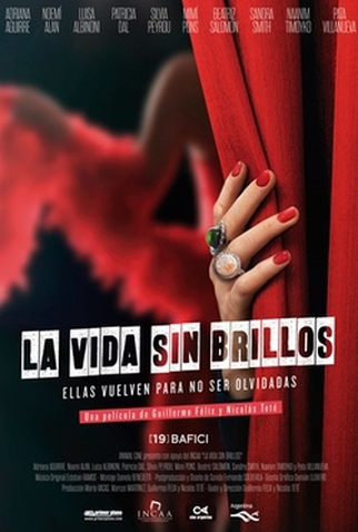 Poster 3 de Filme A Vida Sem Brilhos (2017)