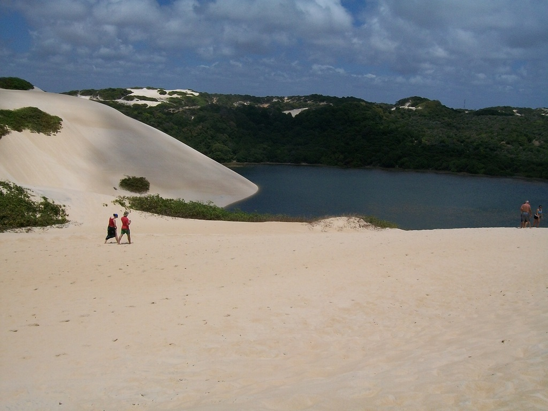 Otávio H. Pereira Armondes - Foto 1