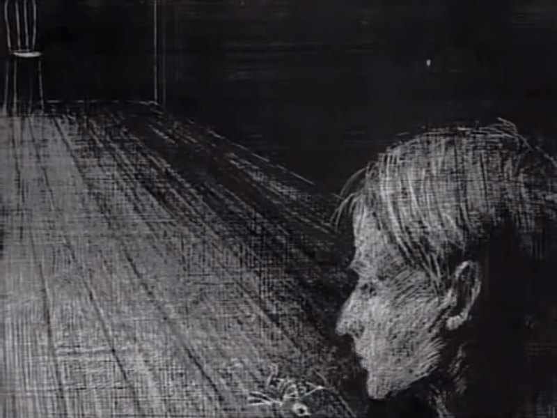 Foto 5 de Wolnosc Nog