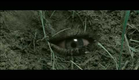 Escavadores (2010) Trailer Oficial Legendado.